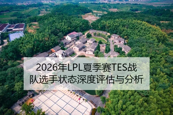 2026年LPL夏季赛TES战队选手状态深度评估与分析
