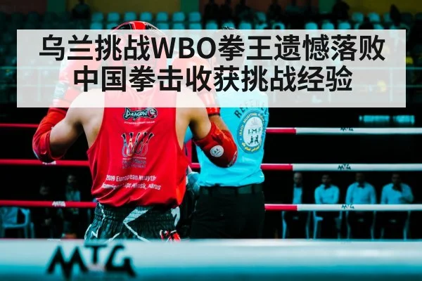 boxing ring fight
